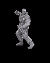 Load image into Gallery viewer, Amaterasu Warriors - Daiki the Silent Sage - Hero Monk