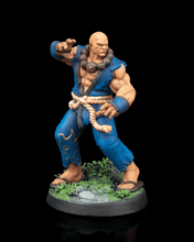 Load image into Gallery viewer, Amaterasu Warriors - Daiki the Silent Sage - Hero Monk
