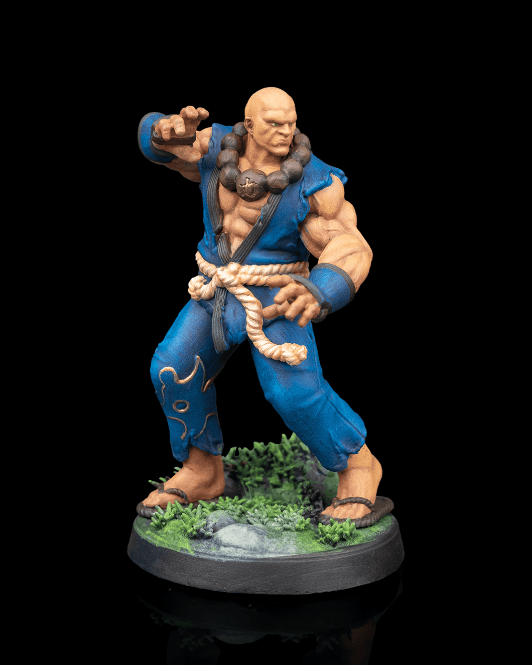 Amaterasu Warriors - Daiki the Silent Sage - Hero Monk