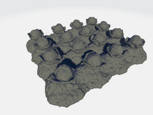 Load image into Gallery viewer, Farm Crops - Cabbage
