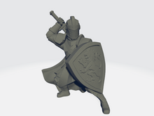 Load image into Gallery viewer, Flix - Lionshield Knight
