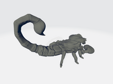 Load image into Gallery viewer, Chibi Giant Scorpion
