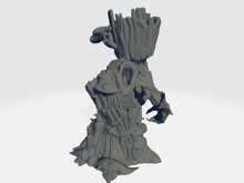 Load image into Gallery viewer, Old Pawpaw The Treeman
