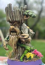Load image into Gallery viewer, Old Pawpaw The Treeman
