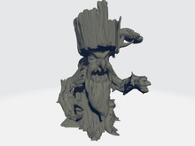 Load image into Gallery viewer, Old Pawpaw The Treeman
