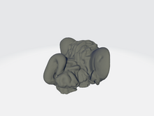 Load image into Gallery viewer, Chibi Rat
