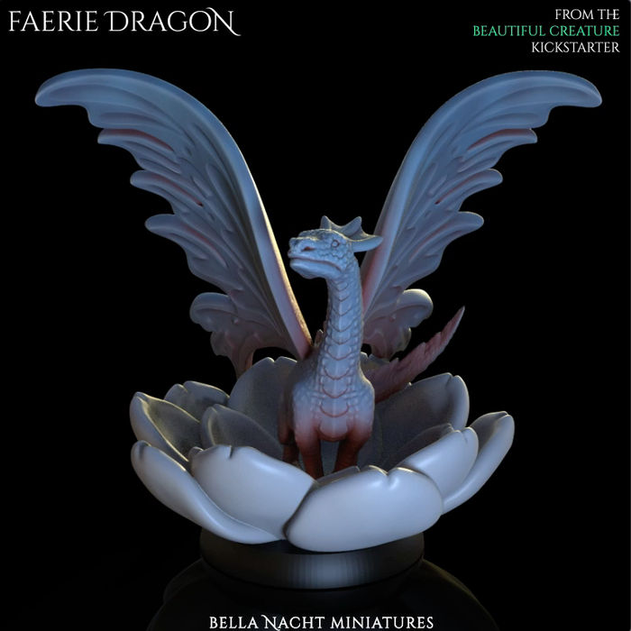 Bella Nacht - Faerie Dragon