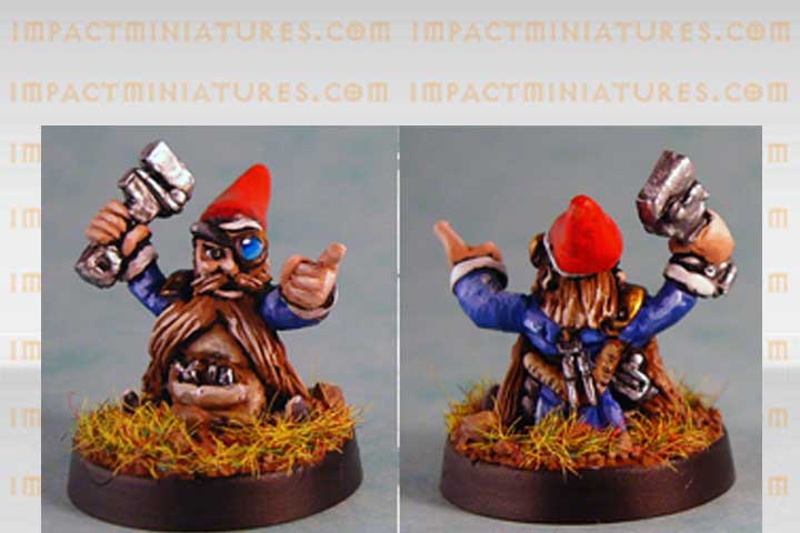 Gnome Head Coach (Metal) GN_GNHC