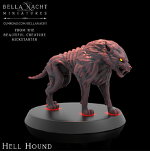 Load image into Gallery viewer, Bella Nacht - Hellhound
