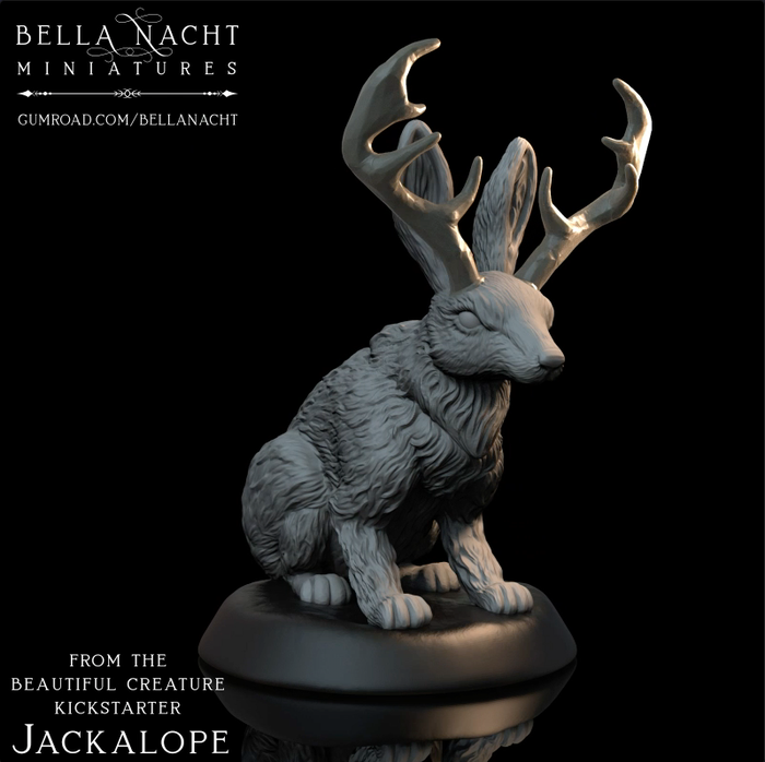 Bella Nacht - Jackalope