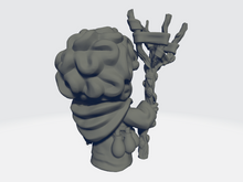 Load image into Gallery viewer, Celia Miniatures - Gnome Adventurers - Mirtg the Druid
