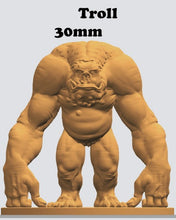 Load image into Gallery viewer, Wizard's Academy Troll
