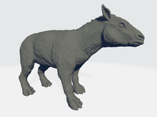 Load image into Gallery viewer, StoneAxe Miniatures - Propalaeotherium #5
