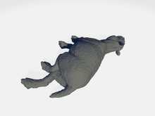 Load image into Gallery viewer, StoneAxe Miniatures - Propalaeotherium #6
