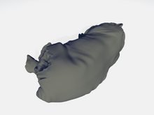 Load image into Gallery viewer, StoneAxe Miniatures - Pyrotherium #9
